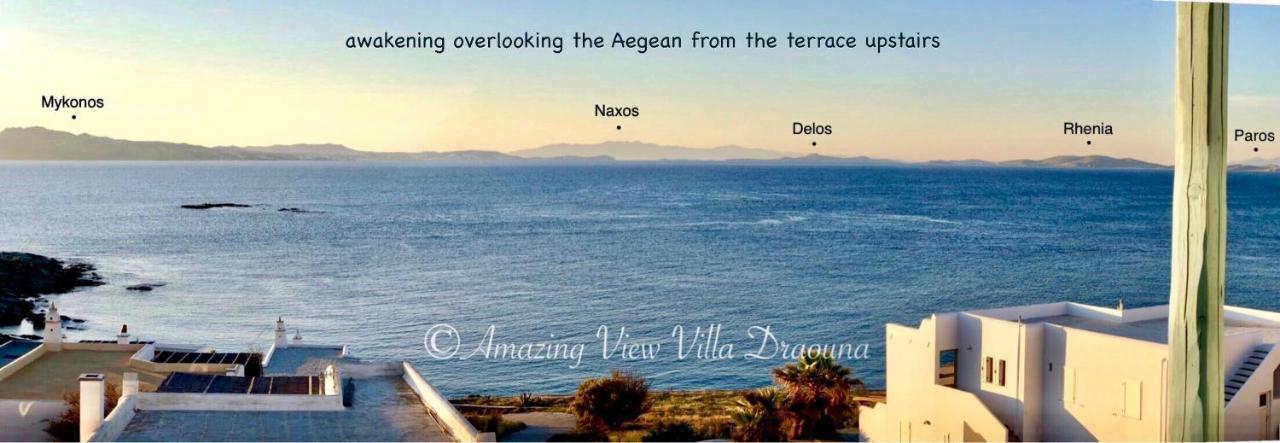 Amazing View Villa Draouna, Agios Sostis, Tinos Agios Sostis  Exterior foto