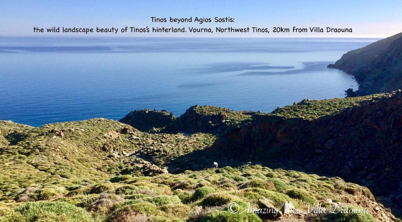 Amazing View Villa Draouna, Agios Sostis, Tinos Agios Sostis  Exterior foto