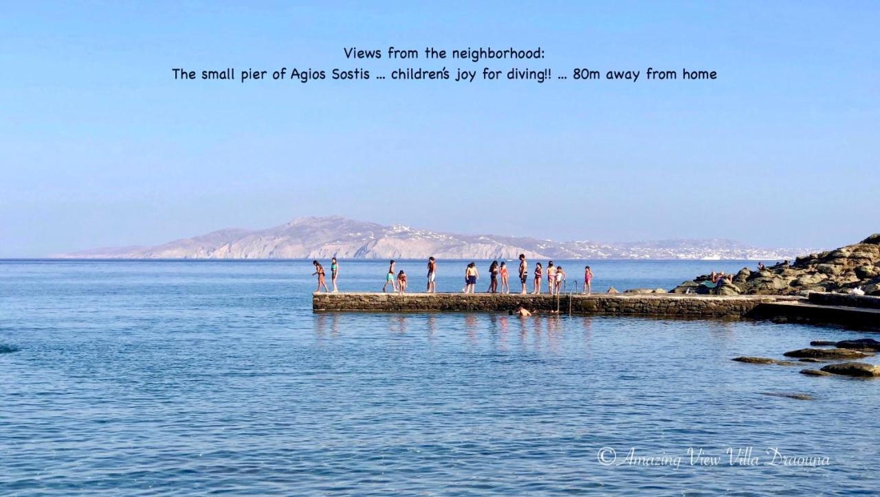 Amazing View Villa Draouna, Agios Sostis, Tinos Agios Sostis  Exterior foto